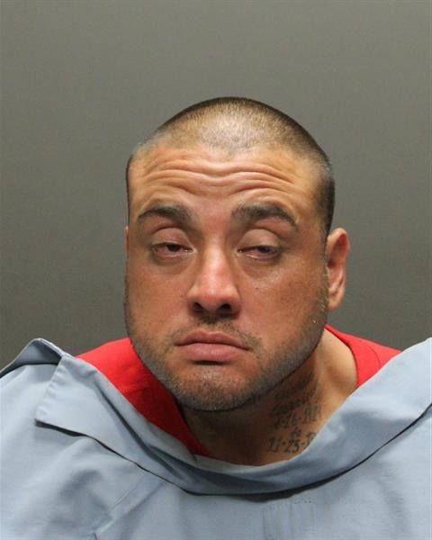 Mug shots 2017